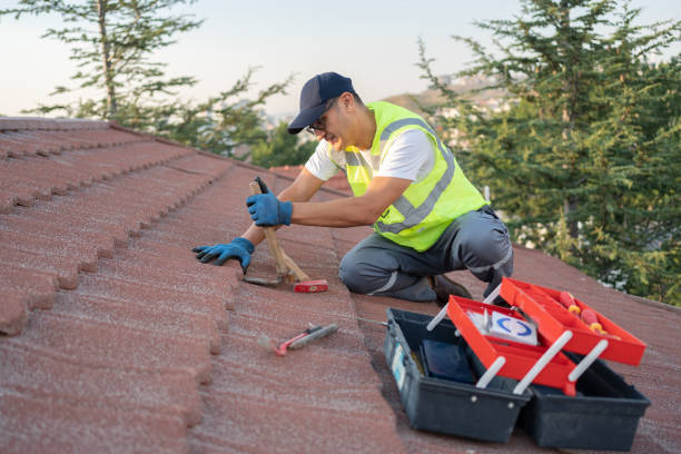 Roof Gutter Cleaning in Milton, DE