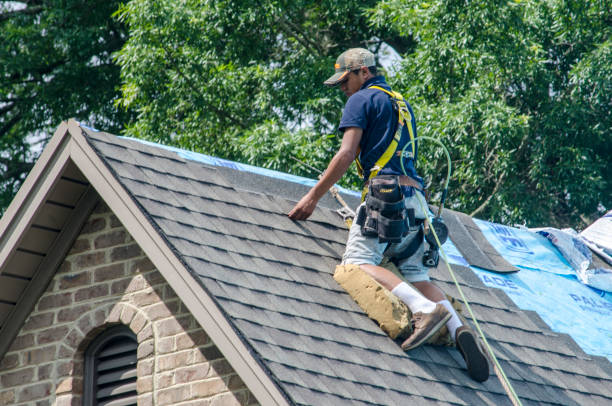 Residential Roof Replacement in Milton, DE